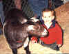 EthPetingGoat9.99.jpg (53185 bytes)